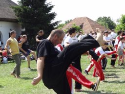 Demonstrációs Nap 2013