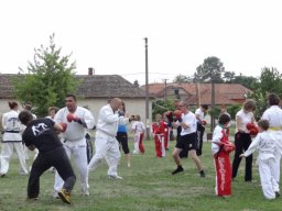 Demonstrációs Nap 2013