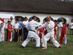 Demonstrációs Nap 2013