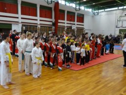 Megyei Bajnokság 2013.03 